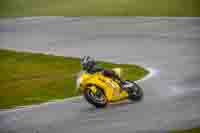 Adv_Mid Group Yellow Bikes